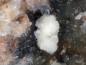 Preview: Girvasite